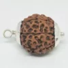 Eight Mukhi Premium Rare Rudraksha