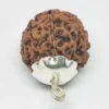 Eight Mukhi Premium Rare Rudraksha