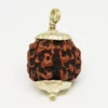 Four Mukhi Premium Rare Rudraksha