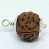 Four Mukhi Premium Rare Rudraksha