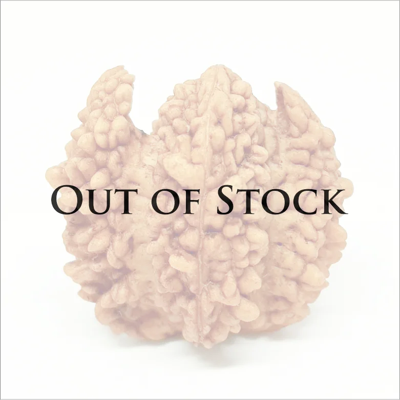 om rudraksha out of stock product image 61