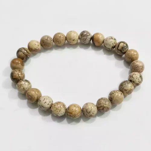 Picture Jasper Bracelet