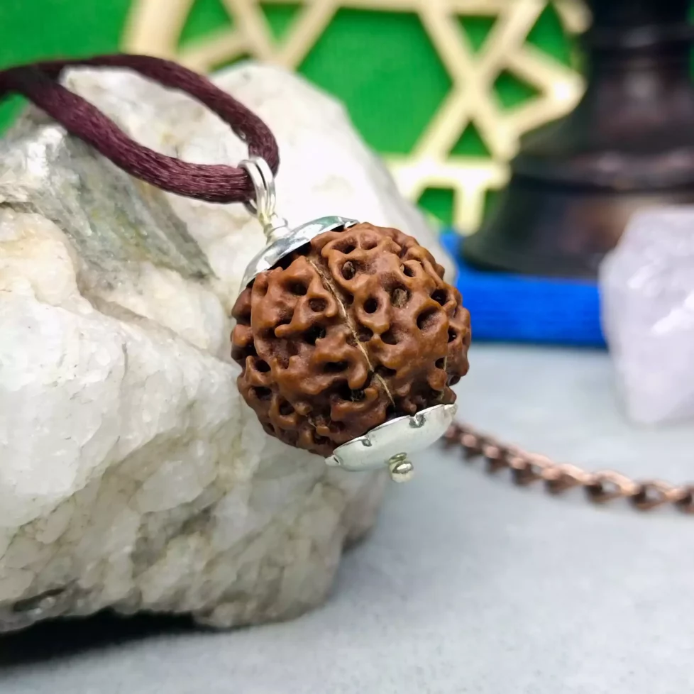 Seven Mukhi Premium Rare Rudraksha