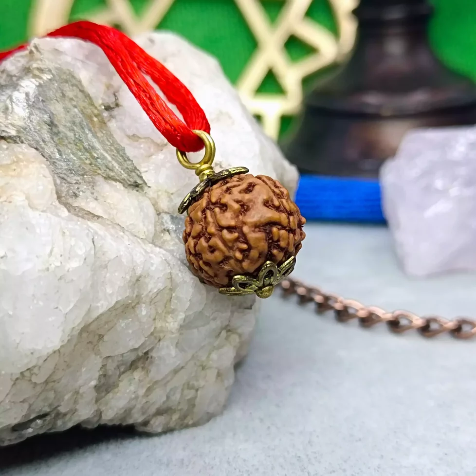 6 Mukhi Rudraksha – Indonesia